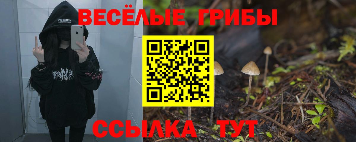 Буйнакск  Псилоцибиновые грибы GOLDEN TEACHER  Вход с VPN 